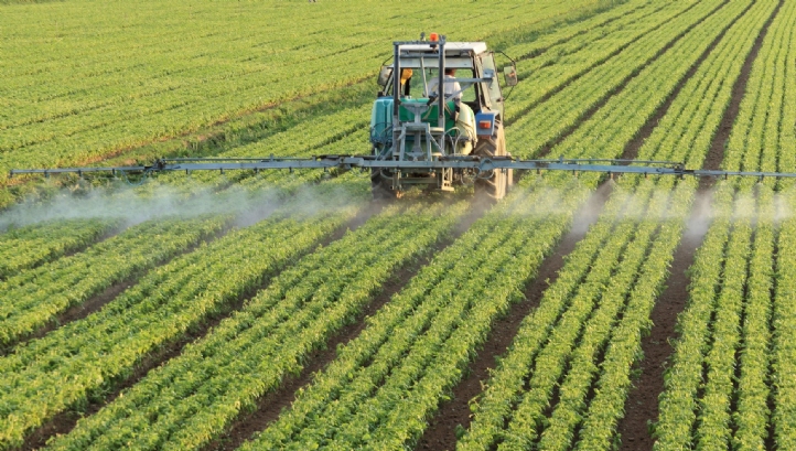 The report warns that the plants, insects and organisms considered crucial to food production are in 'steep decline'